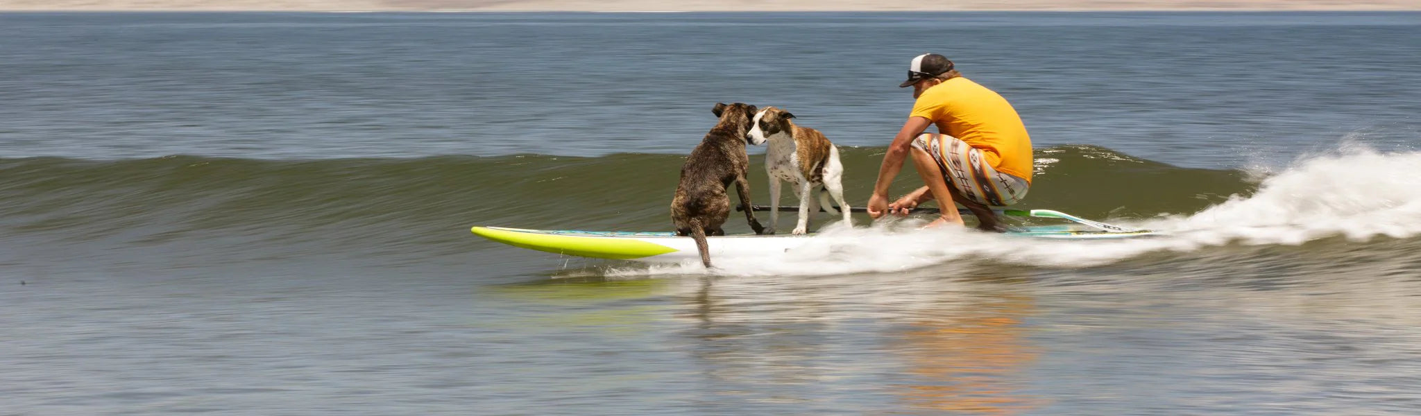 Flood Gatorshell Paddle Boards
