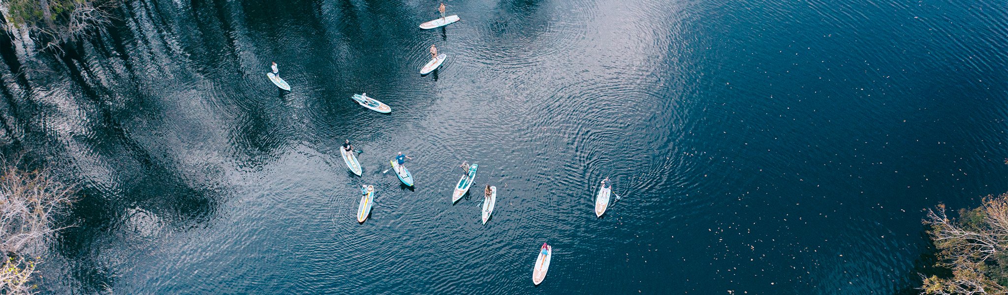 Aerial view of paddle boarders floating on dark water near trees and shoreline.